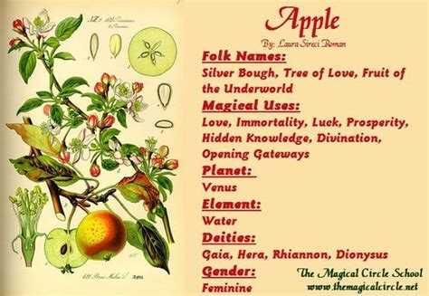 Wiccans and gala apples